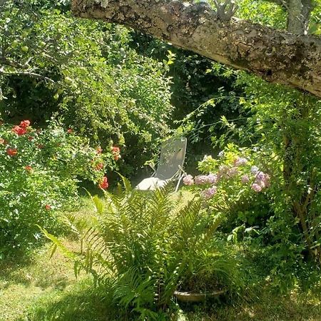 Charmant T2 Dans Chalet Familial Valdeblore Exterior foto