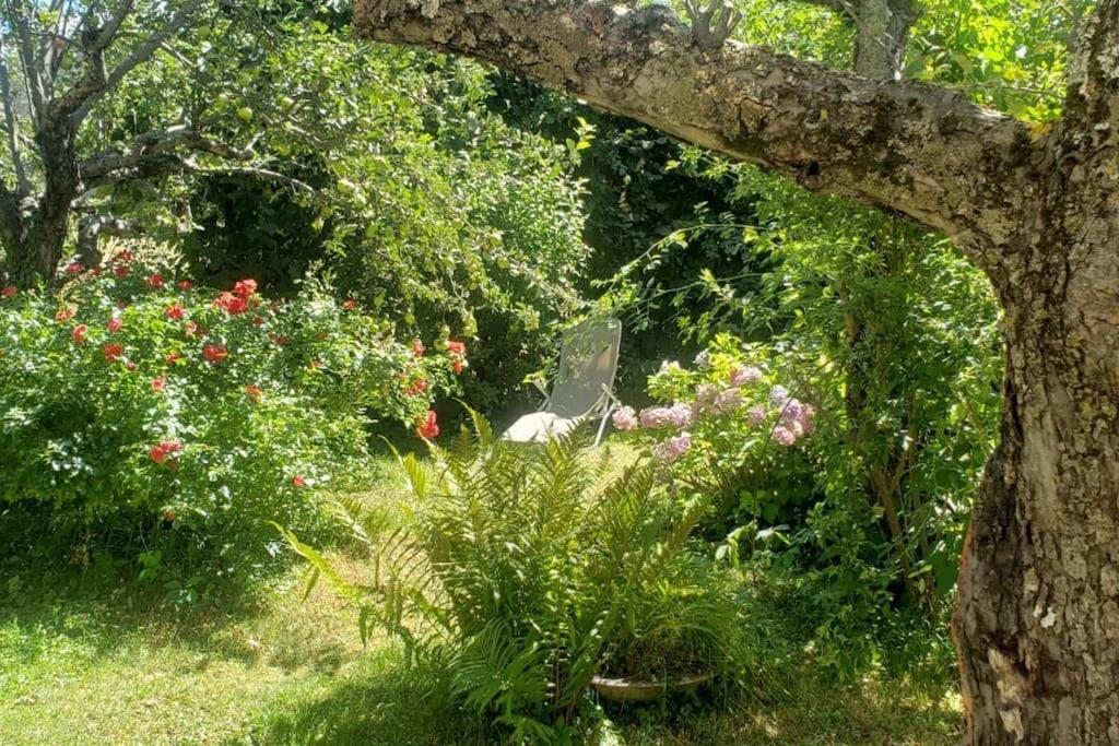 Charmant T2 Dans Chalet Familial Valdeblore Exterior foto
